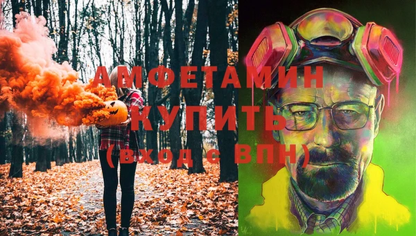 стаф Володарск