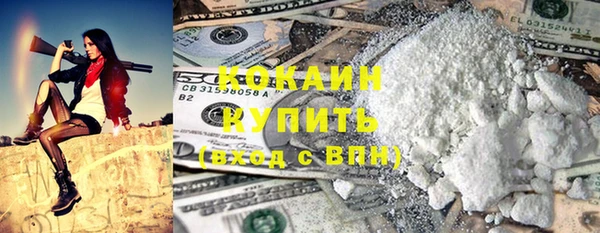 гидра Волоколамск