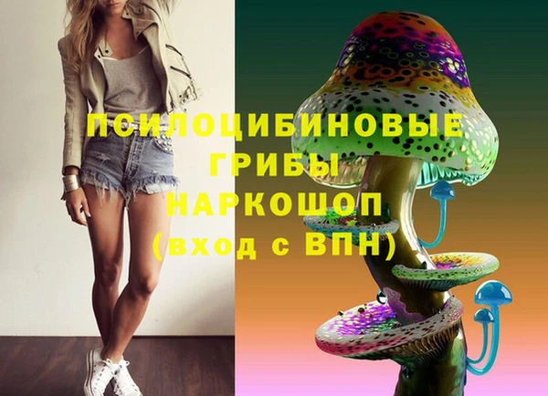 стаф Володарск