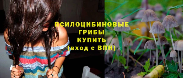 гидра Волоколамск