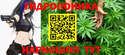 шишки Партизанск