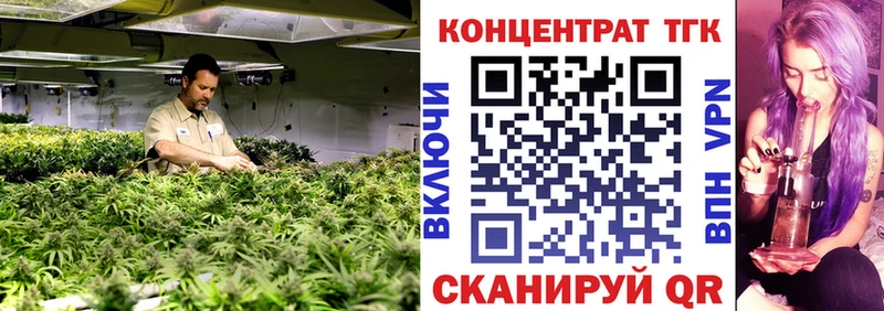 ТГК Wax  купить закладку  Выборг 